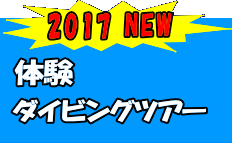 ネイビーカンパニー 体験ダイビングツアー 詳しくはスタッフまでお問い合わせ下さい。